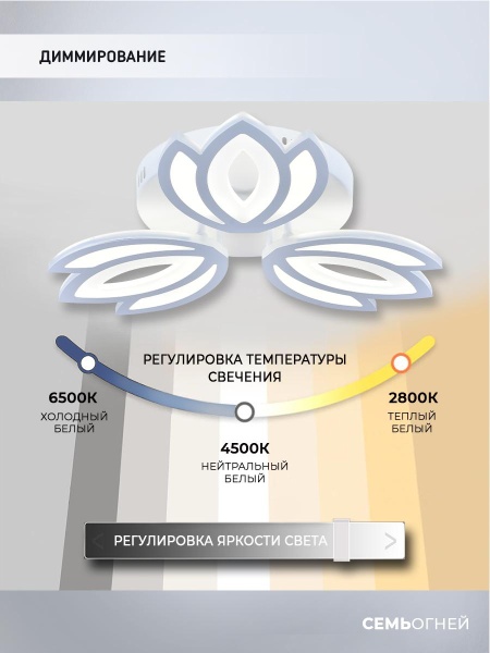 Потолочная светодиодная люстра Seven Fires Erdin SF5043/3C-WT
