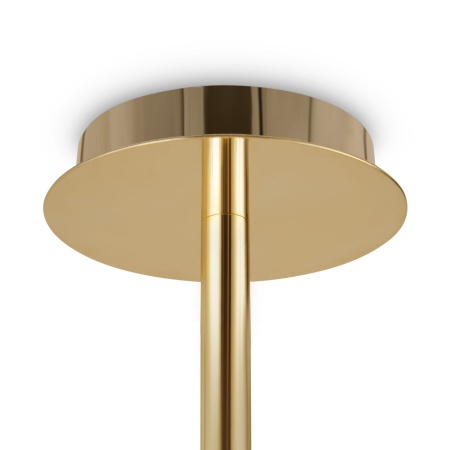 Подвесная люстра Freya Mineral FR1010CL-06G