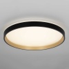Светильник потолочный Citilux ENZO CL753511G