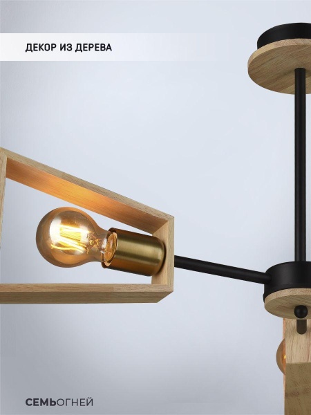 Потолочная люстра Seven Fires Klotild WD3522/3C-BK-AB