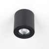 Потолочный светильник Citilux Дюрен CL538113