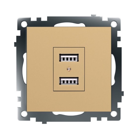 Розетка 2хUSB Stekker Катрин золото GLS10-7115-08 49229