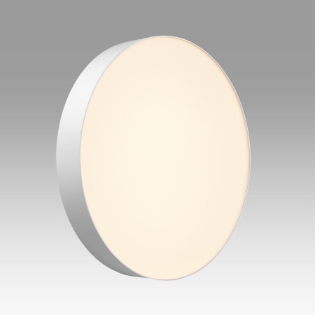 Настенно-потолочный светильник Sonex BASICA 7779/ELN