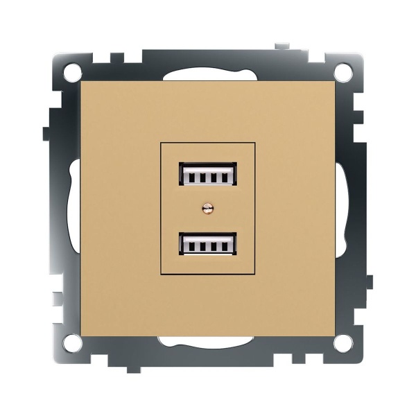 Розетка 2хUSB Stekker Катрин золото GLS10-7115-08 49229