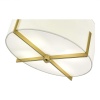 Потолочный светильник Evoluce LINTON SLE3010-302-04