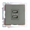 Розетка 2хUSB Stekker Катрин графит GLS10-7115-06 49422