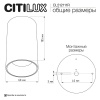 Потолочный светильник Citilux Axel CL512111R