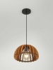Подвесной светильник Rivoli Ivy 5111-201 Б0069914