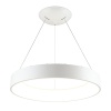 Подвесной светодиодный светильник Aployt Michell APL.052.03.60