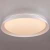 Потолочный светодиодный светильник Citilux Mega CL752450G