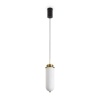 Подвесной светильник Freya Modern Iride FR5627PL-L15BBS