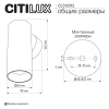 Настенный светилтник Citilux Axel CL512312