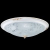 Потолочный светильник Maytoni Diametrik C907-CL-06-W