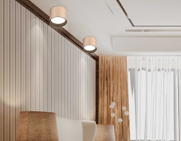Светильник накладной Ambrella Light TN5305 Светильник накладной Ambrella Light TN5305
