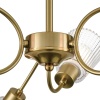 Светильник потолочный Lumion IMANA 8154/6C