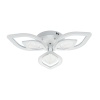 Потолочная светодиодная люстра Escada Anise 10288/6LED