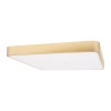 Потолочный светодиодный светильник Loft IT Flims 10228/D