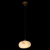 Подвесной светильник Loft IT Fionora 10531B