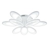 Потолочная светодиодная люстра Escada Ecla 10242/9LED