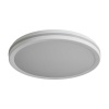 Потолочный светильник Freya Руа / Rua FR6160CL-L40W