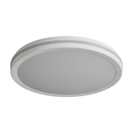 Потолочный светильник Freya Руа / Rua FR6160CL-L40W