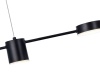 Подвесная светодиодная люстра Kink Light Карин 07624-5,19