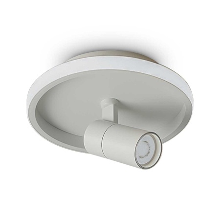 Потолочный светильник Freya Нео / Neo FR6040CL-L14W
