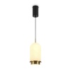 Подвесной светильник Freya Modern Iride FR5627PL-L7BBS