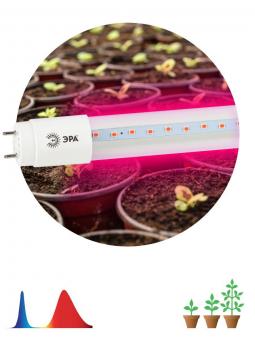 Лампа светодиодная для растений ЭРА G13 18W 1200K прозрачная XGYT8B102-E9 RW
