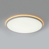 Потолочный светильник Citilux NORMA CL749500