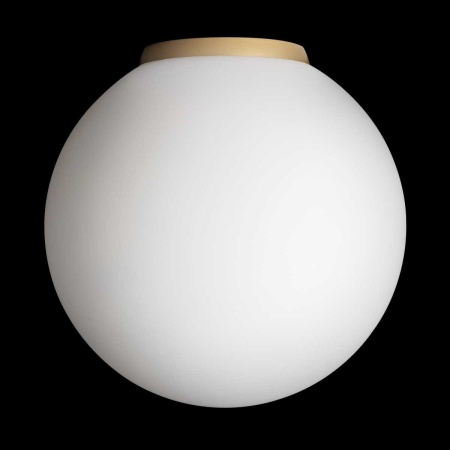 Светильник Citilux RON CL941D20B2