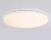 Потолочный светодиодный светильник Ambrella light Orbital Dance FZ2003