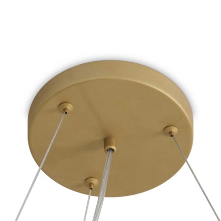 Подвесная люстра Freya Modern Bless FR5567PL-06G