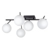 Потолочная светодиодная люстра Citilux Dorsy CL223152