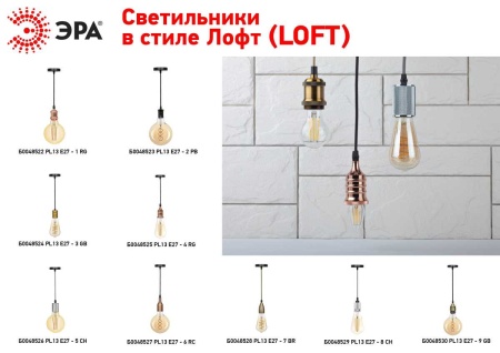 Подвесной светильник ЭРА PL13 Б0048528