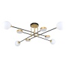 Потолочная люстра F-Promo Complesso 3095-8P