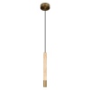 Подвесной светильник Loft IT Everest 10583D Bronze