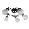 Спот Toplight Sara TL2730X-05BC