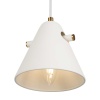 Подвесной светильник Freya Уютный / Cozy FR5211PL-01W