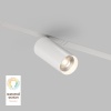 Трековый светильник Denkirs Smart Spot DK8020-WH