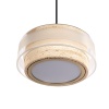 Подвесной светильник Loft IT Colette 10474P/C