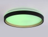 Потолочный светодиодный светильник Ambrella light Orbital Dance FZ610