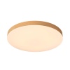 Светильник Sonex Mitra Led 7761/50L