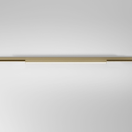 Трековый светильник Elektrostandard Brass Line a071849