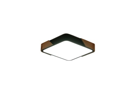 Потолочный светильник Zortes ALBERRO ZRS.01281.36