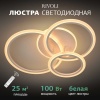Потолочная светодиодная люстра Rivoli Inessa 6153-104 Б0066426