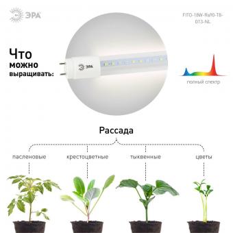 Лампа светодиодная для растений ЭРА G13 18W 1200K прозрачная XGYT8B104-E18 F