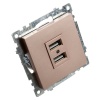 Розетка 2хUSB Stekker Катрин шампань GLS10-7115-02 39602