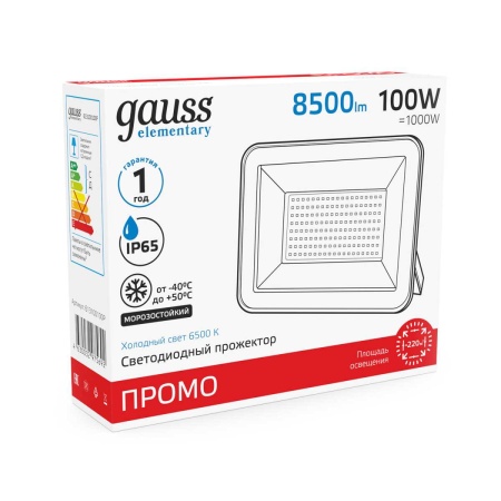 Прожектор светодиодный Gauss 100W 613100100