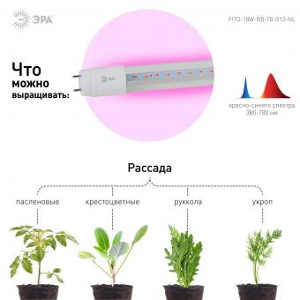 Лампа светодиодная для растений ЭРА G13 18W 1200K прозрачная XGYT8B102-E9 RW